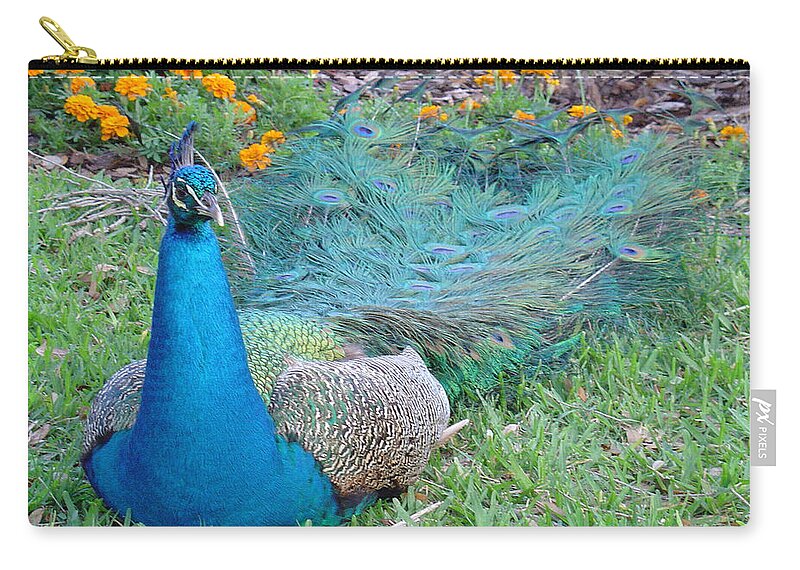 Peacock Zip Pouch featuring the photograph Bejeweled by David Nicholls