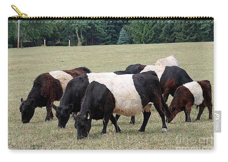 Mccombie Zip Pouch featuring the painting Belted Galloways by J McCombie