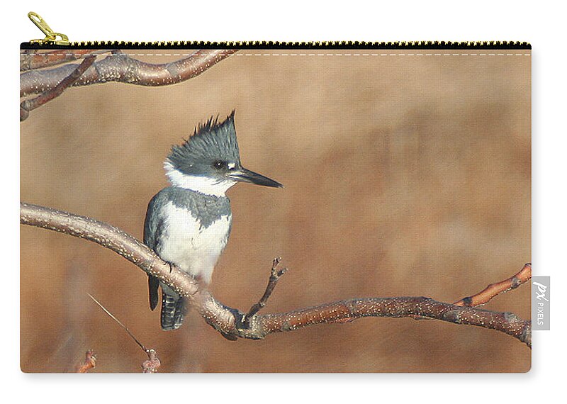 Wildlife Zip Pouch featuring the pyrography Belted Kingfisher by William Selander