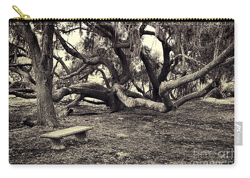 Trees Zip Pouch featuring the photograph Bench and Trees BW by David Arment