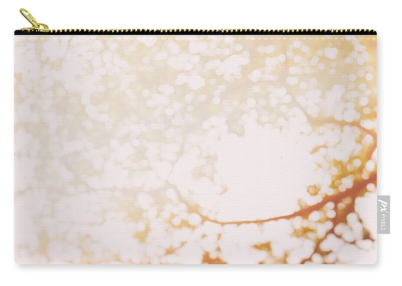 Abstract Zip Pouch featuring the photograph Beneath a tree 14 4948 square diptych set 1 of 2 by U Schade