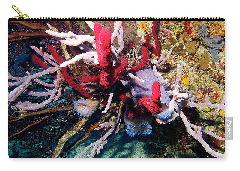 Bequia Zip Pouch featuring the photograph Bequia 05 by David Beebe