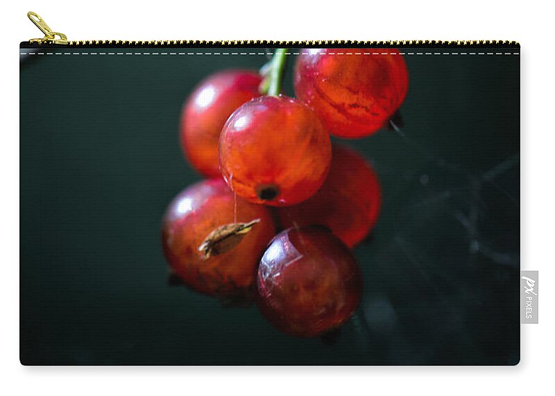 Berry Zip Pouch featuring the photograph Berries by Leif Sohlman