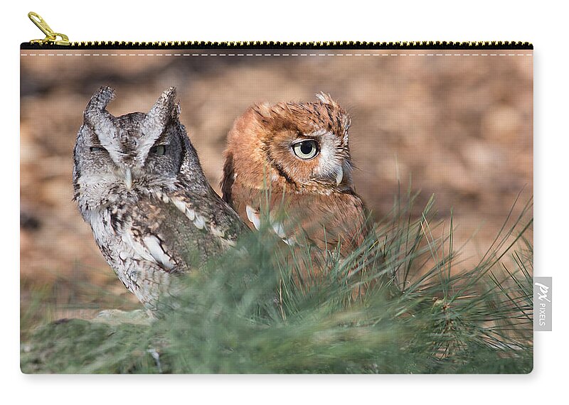 Owl Zip Pouch featuring the photograph Best Friends by Dale Kincaid