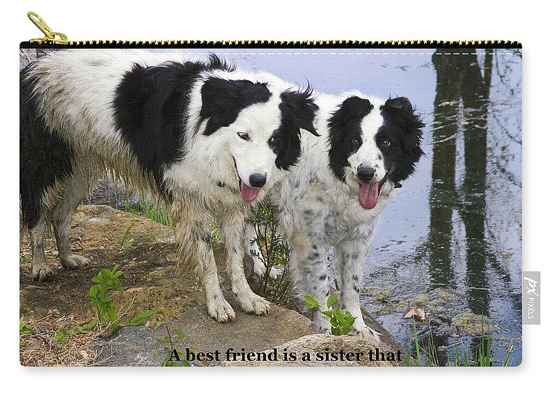 2 Border Collie Dogs Standing Zip Pouch featuring the photograph Best Friends by Sally Weigand