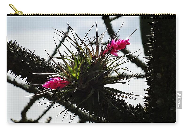 Rio De Janeiro Zip Pouch featuring the photograph Between Thorns by Zinvolle Art