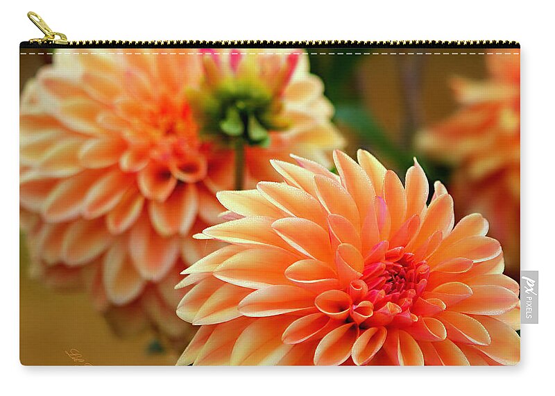 Dahlia Zip Pouch featuring the photograph Big and Bold by Jeanette C Landstrom