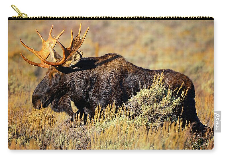 Moose Zip Pouch featuring the photograph Big Boy by Greg Norrell