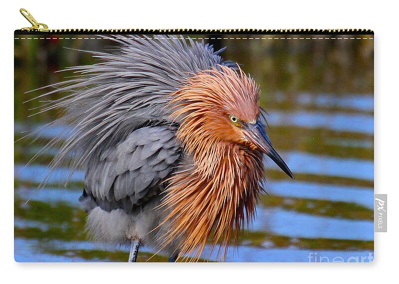 Reddish Egret Zip Pouch featuring the photograph Big Red all fuzzed out by Barbara Bowen