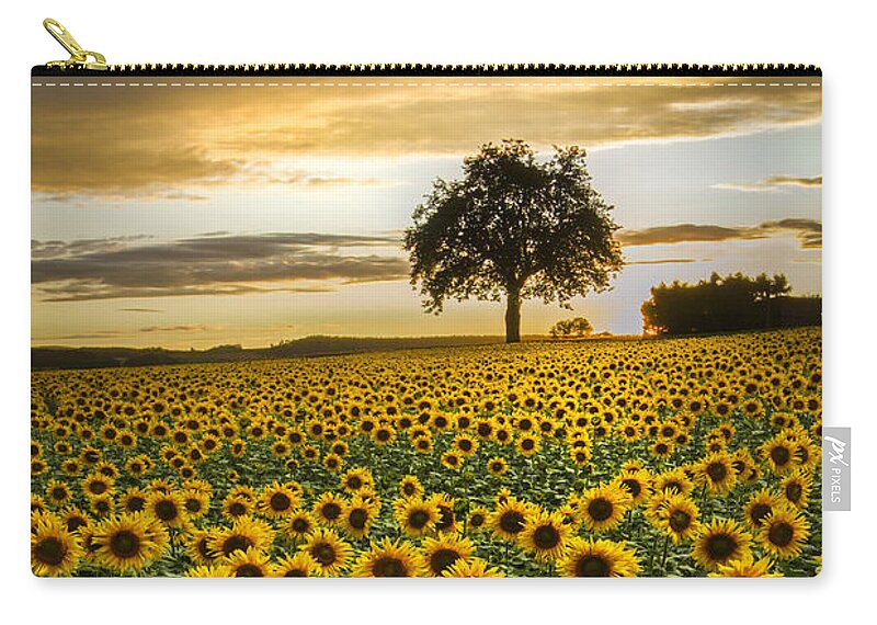 Barn Zip Pouch featuring the photograph Big Sunflower Field by Debra and Dave Vanderlaan