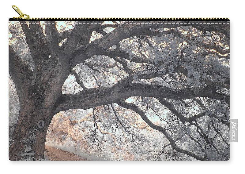 Oak Zip Pouch featuring the photograph Big Sur Oak by Jane Linders