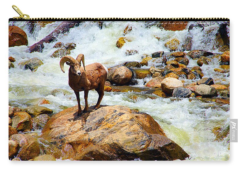 Bighorn Zip Pouch featuring the photograph Bighorn in a Waterfall by Tranquil Light Photography