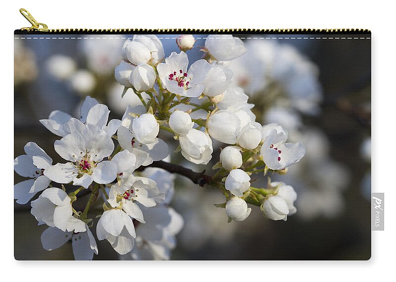White Zip Pouch featuring the photograph Billows of Fluffy White Bradford Pear Blossoms by Kathy Clark