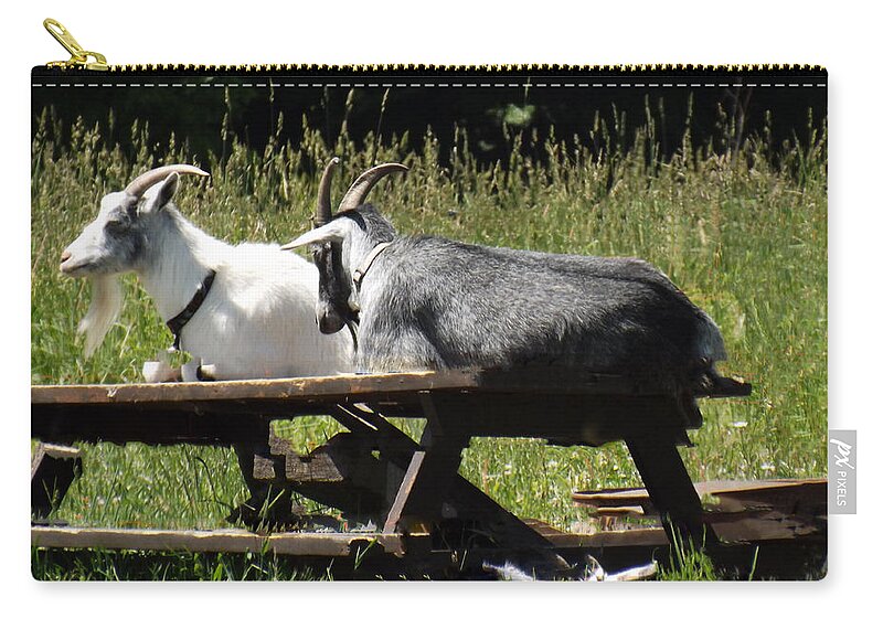Billy Zip Pouch featuring the photograph Billy Goats Picnic by Brenda Brown