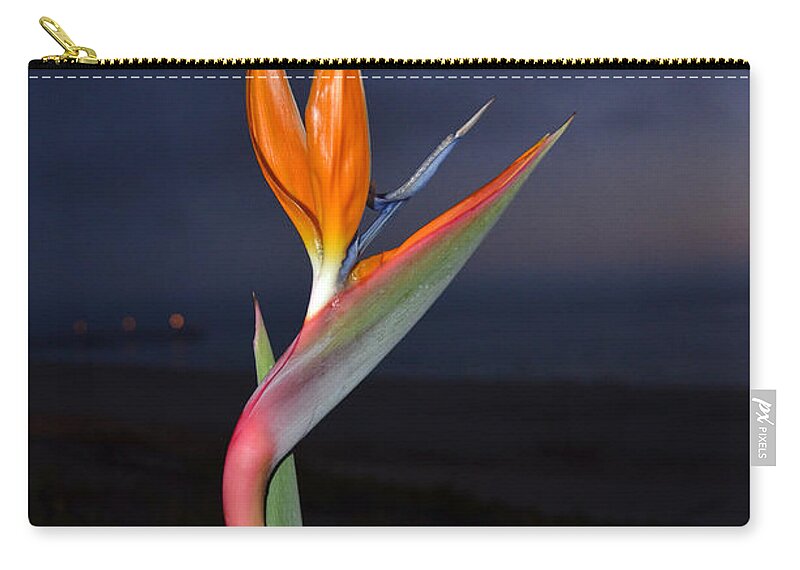 Bird Of Paradise Zip Pouch featuring the photograph Bird of Paradise at Night by Debra Thompson