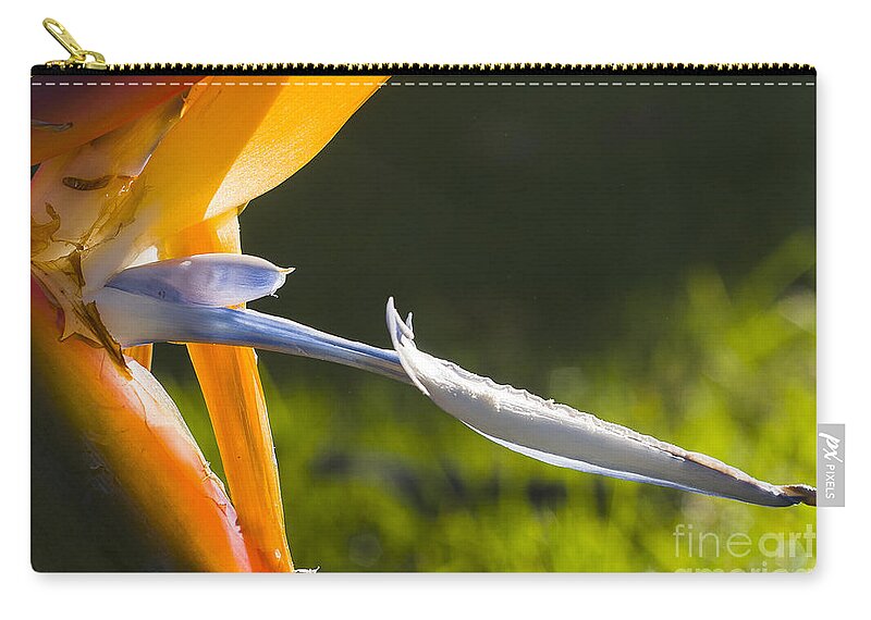 Australia Carry-all Pouch featuring the photograph Bird of Paradise by Steven Ralser