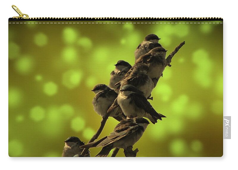 Bird Zip Pouch featuring the photograph Birds of A Feather by David Dehner