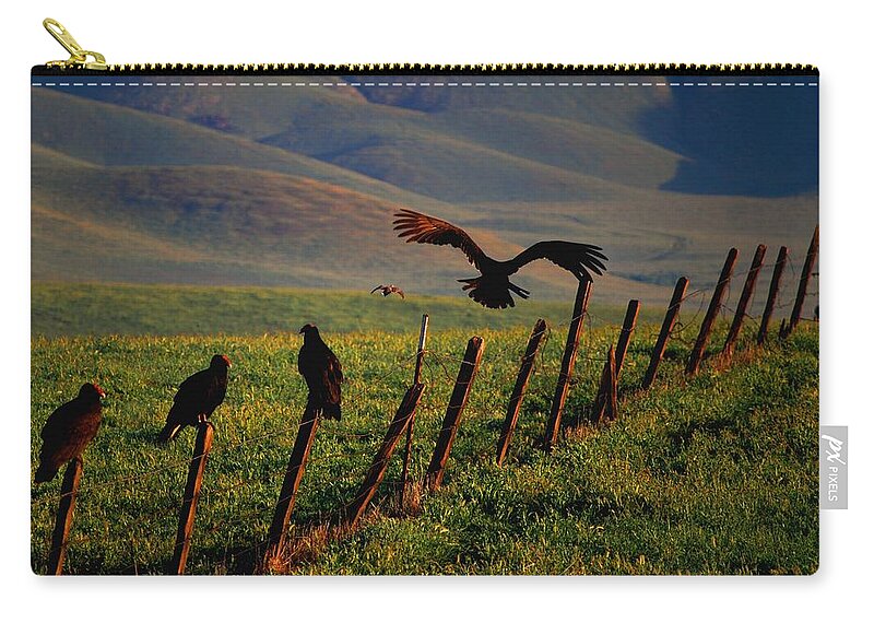 Birds Zip Pouch featuring the photograph Birds on a Fence by Matt Quest