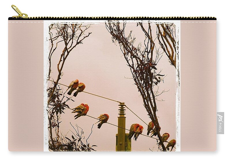  Zip Pouch featuring the photograph Birds On The Wires by Lorelle Phoenix