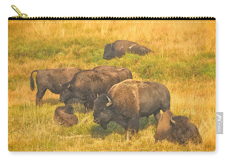 Bison Zip Pouch featuring the photograph Bison Family by Greg Norrell