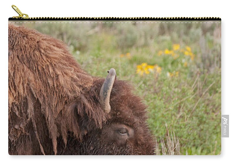 Antelope Flats Road Zip Pouch featuring the photograph Bison in the flowers inGrand Teton National Park by Fred Stearns