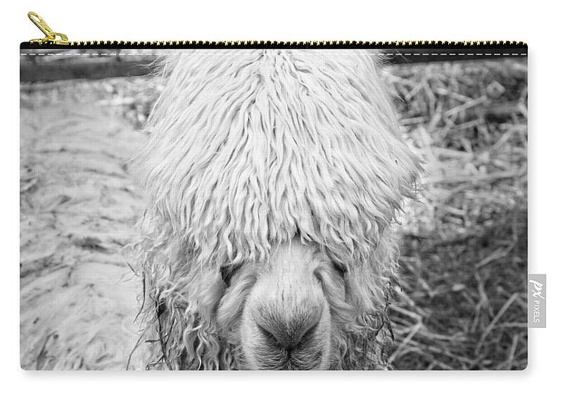 Alpaca Zip Pouch featuring the photograph Black and White Alpaca Photograph by Keith Webber Jr