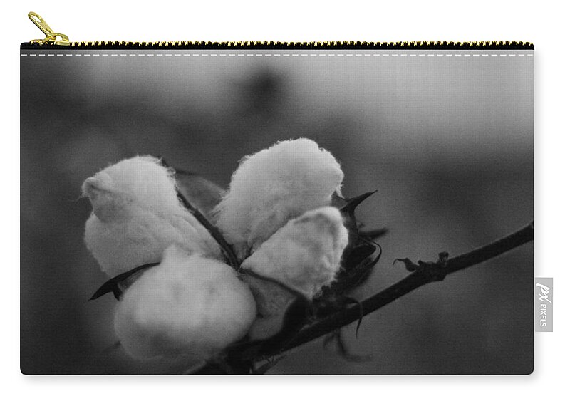 Ag Zip Pouch featuring the photograph Black and White Boll by David Zarecor