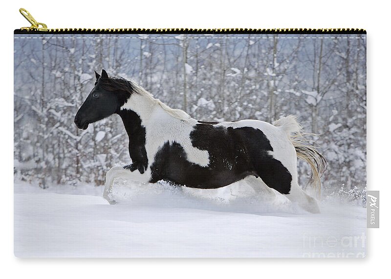 Black And White Zip Pouch featuring the photograph Black And White Paint Horse In Snow by Rolf Kopfle