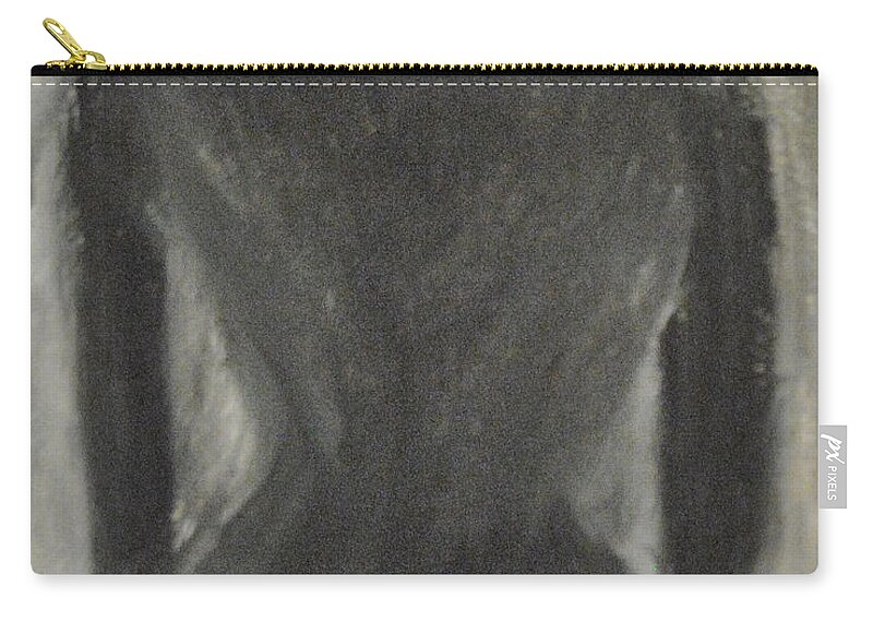 Black And White Art Zip Pouch featuring the painting Black and White by Suzanne Surber