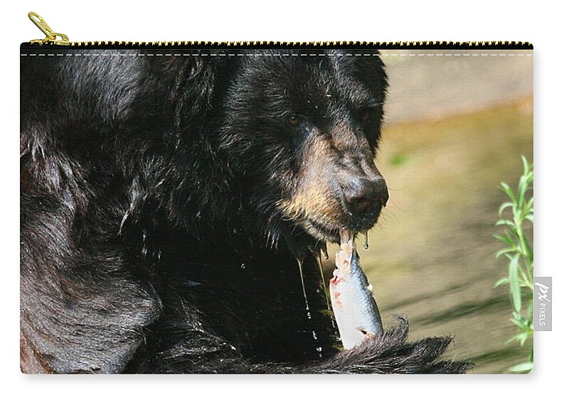 Nature Zip Pouch featuring the photograph Black Bear Fish Catch by Angela Rath