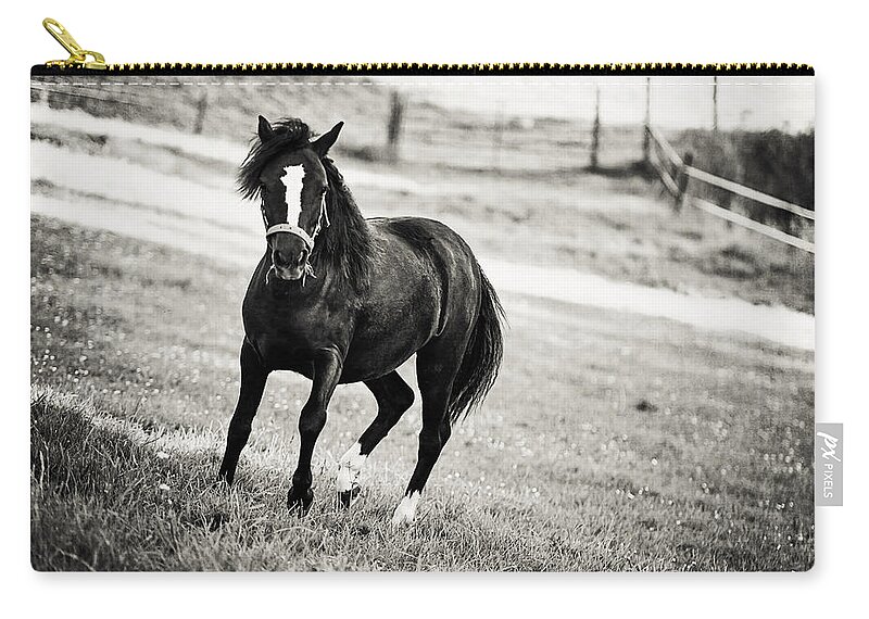 Horse Zip Pouch featuring the photograph Black Beauty by Jenny Rainbow