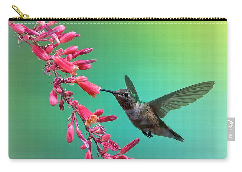 Archilochus Alexandri Zip Pouch featuring the photograph Black Chinned Hummingbird by Mary Lee Dereske