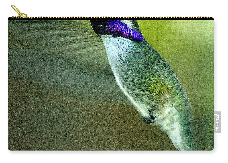 Hummingbirds Zip Pouch featuring the photograph Black Chinned Male In Flight To Feeder by Jay Milo