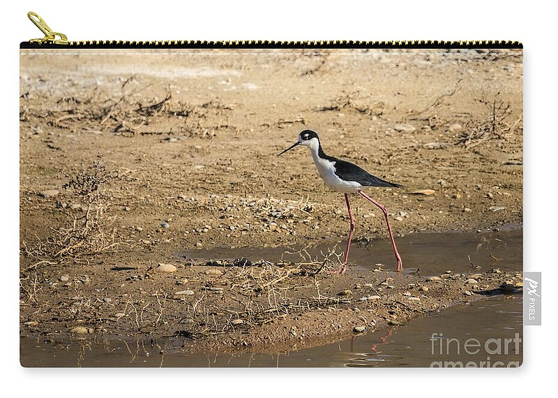 Bird Zip Pouch featuring the photograph Black-necked Stilt by Robert Bales