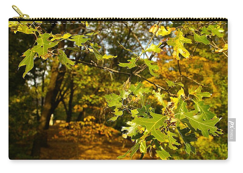 California Black Oak Zip Pouch featuring the photograph Black Oak On Fall Evening by Michele Myers