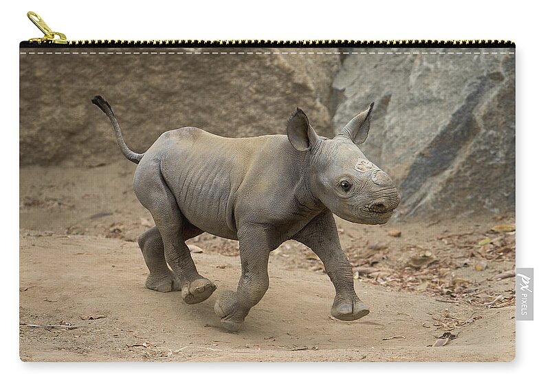 San Diego Zoo Zip Pouch featuring the photograph Black Rhinoceros Calf Running by San Diego Zoo