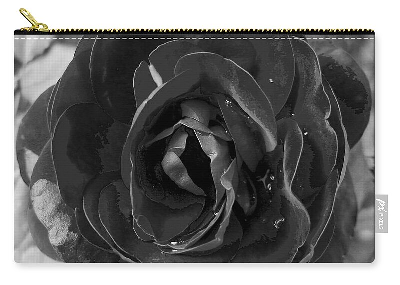 Awakened Zip Pouch featuring the photograph Black Rose by Nina Ficur Feenan