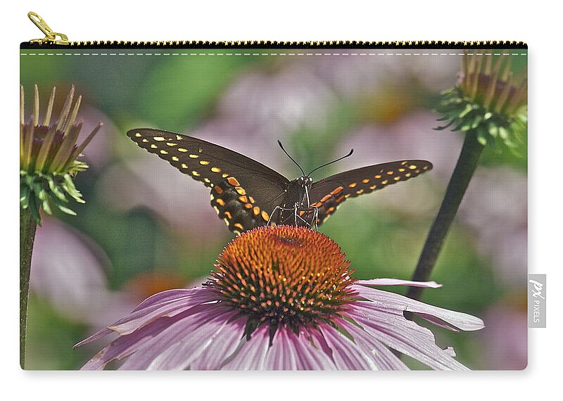 Cone Flower Zip Pouch featuring the photograph Black Swallowtail on Cone Flower by Michael Peychich