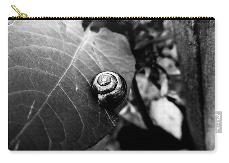 Snail Carry-all Pouch featuring the photograph Black Swirl by Zinvolle Art