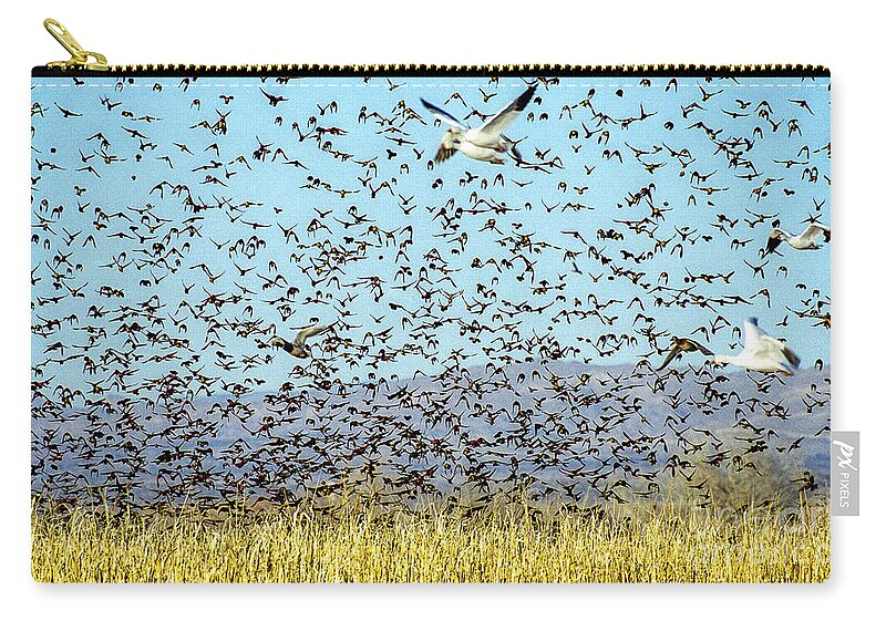 Birds Carry-all Pouch featuring the photograph Blackbirds and Geese by Steven Ralser