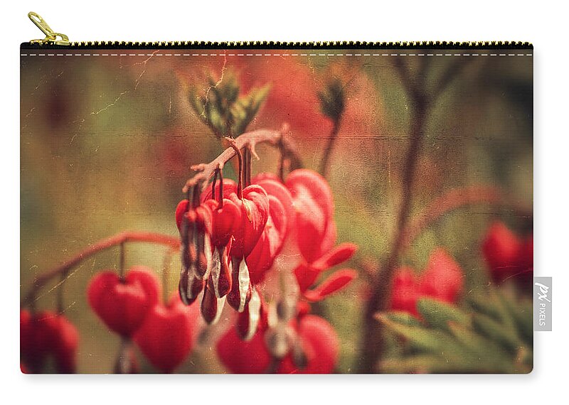 Love Carry-all Pouch featuring the photograph Bleeding Hearts by Spikey Mouse Photography