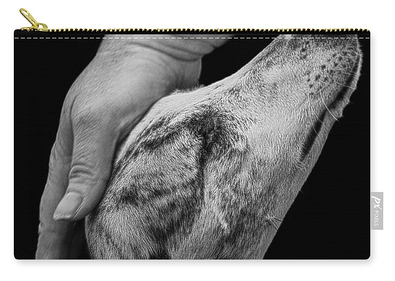 Blind Zip Pouch featuring the photograph Blind Faith by Linsey Williams