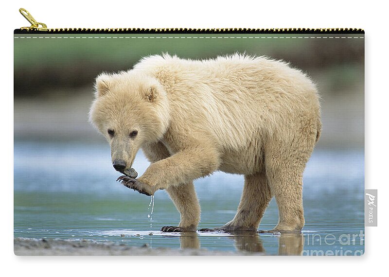 00345237 Zip Pouch featuring the photograph Blond Grizzly Playing With Stone by Yva Momatiuk John Eastcott