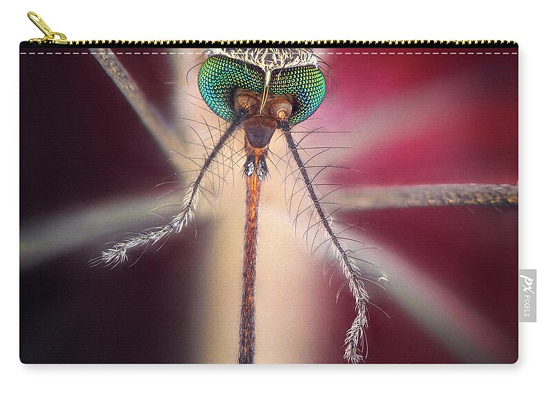 Insect Zip Pouch featuring the photograph Bloodsucker by I Love Nature