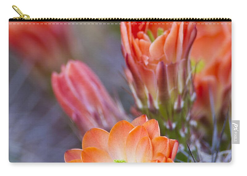 Blooms Zip Pouch featuring the photograph Bloom in orange by Bryan Keil