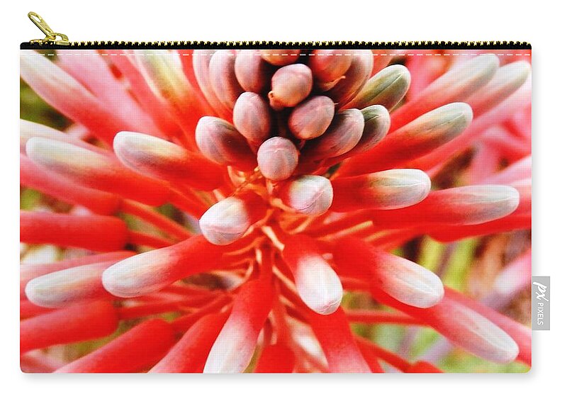 #amazing Colors Of #pale #pink And Red On A Long Stem That Shoots Out Of The Aloe Plant Of The #desert Zip Pouch featuring the photograph Pink Blooming Desert Aloe Beauty by Belinda Lee