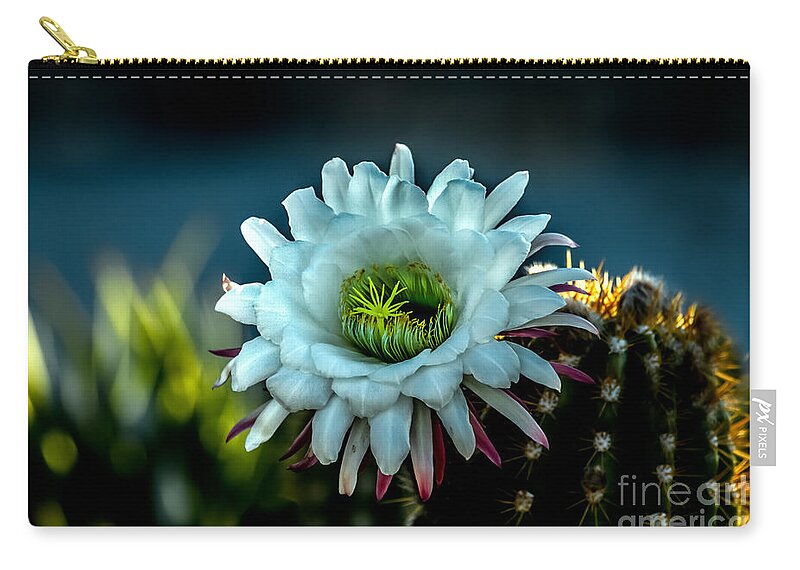 Argentine Giant Zip Pouch featuring the photograph Blooming Argentine Giant by Robert Bales