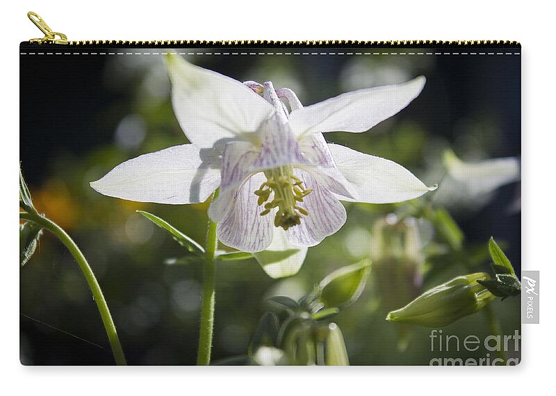 Columbine Carry-all Pouch featuring the photograph Blooming Columbine by Brad Marzolf Photography