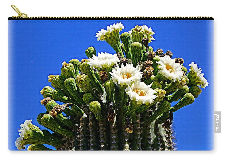 Arizona Zip Pouch featuring the photograph Blooming Saguaro by Barbara Zahno