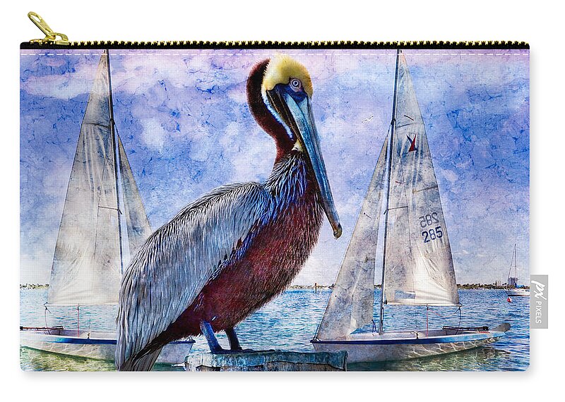 Animals Zip Pouch featuring the photograph Blue Boy by Debra and Dave Vanderlaan